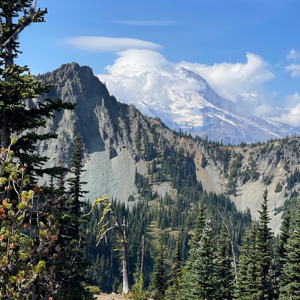 Meet your Posher, Barbara!